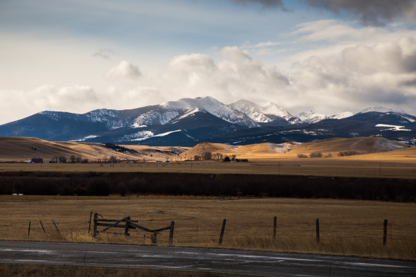 Bozeman