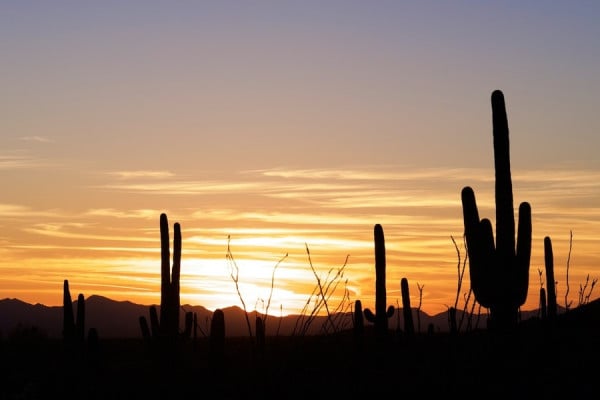 Wickenburg