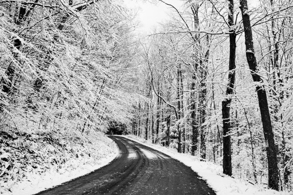 Allenwood