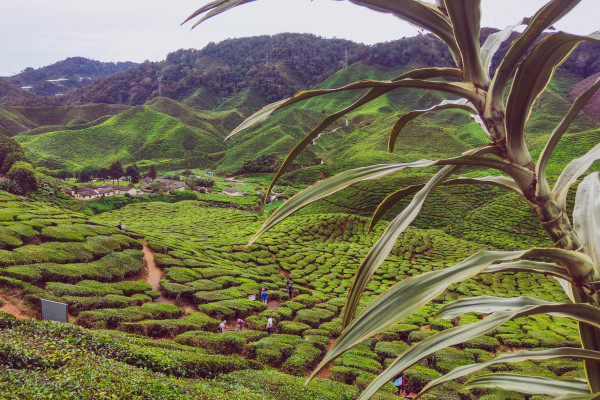 Malaysia