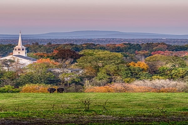 Hatfield