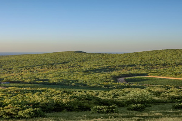 French Valley