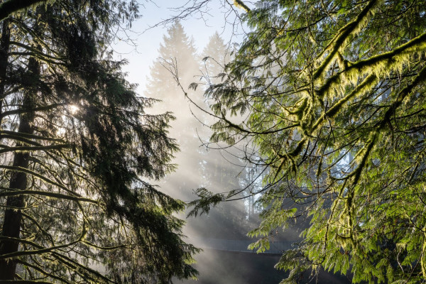 Burnaby