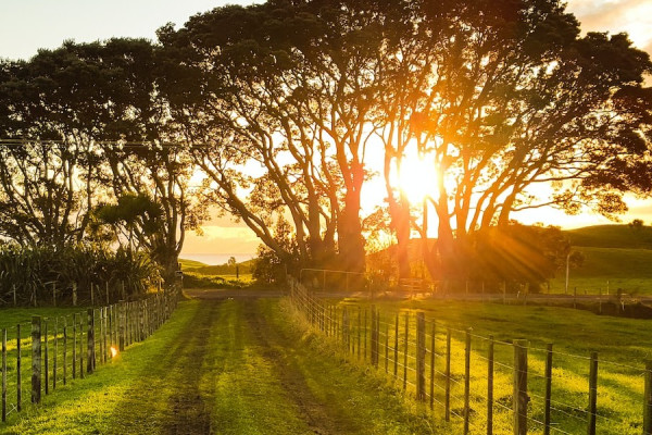 Countryside