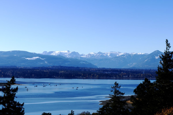 Courtenay