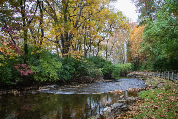 Wyomissing