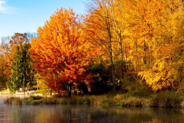 Lake Ariel