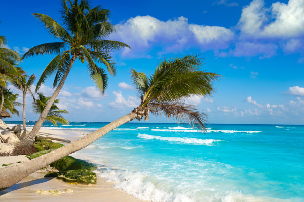 Playa Del Carmen