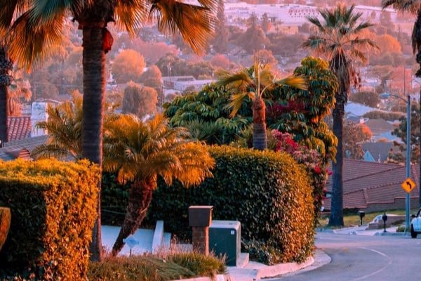Whittier