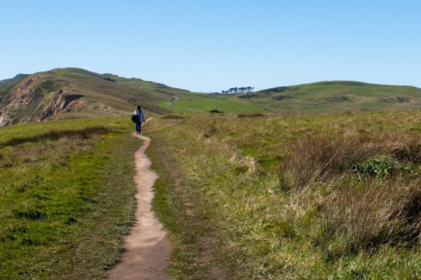 Petaluma