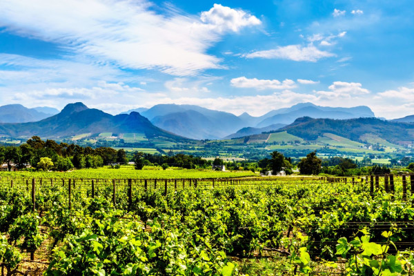 Western Cape