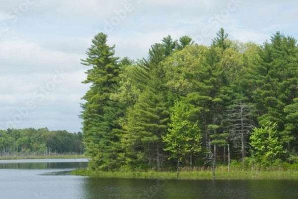 Sudbury
