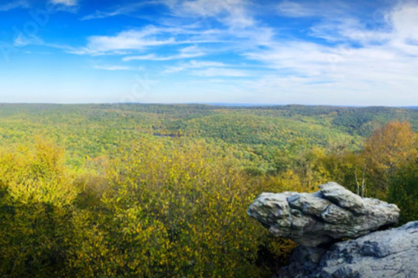 Waynesboro
