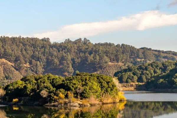 Castro Valley
