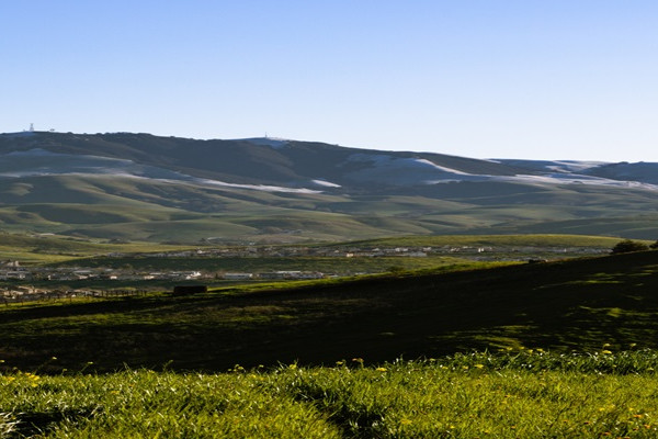 Morgan Hill