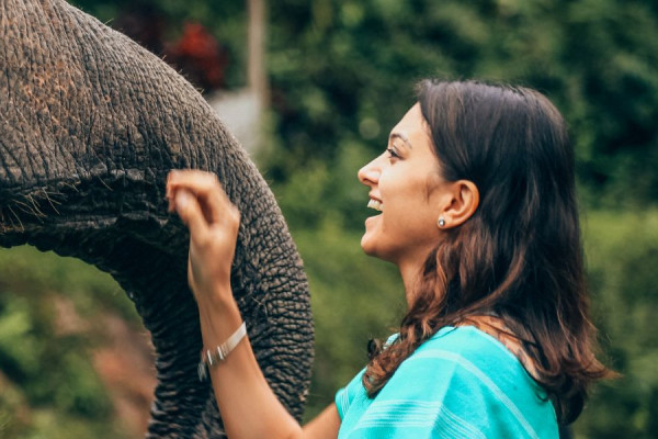Elephant Therapy