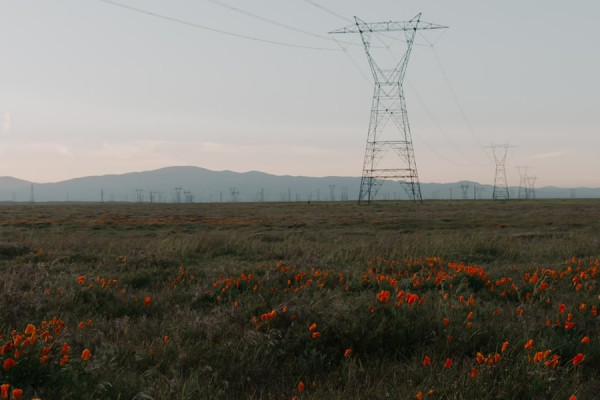 Palmdale