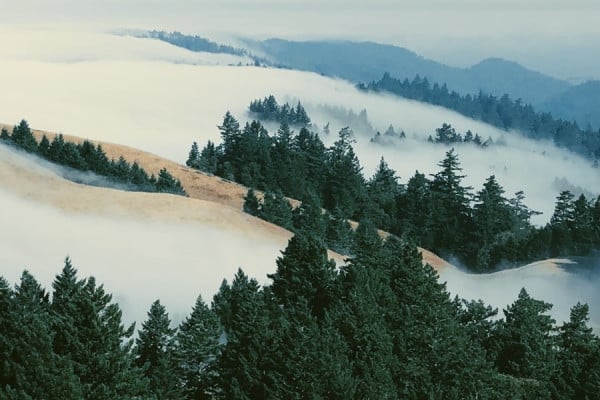 Marin County