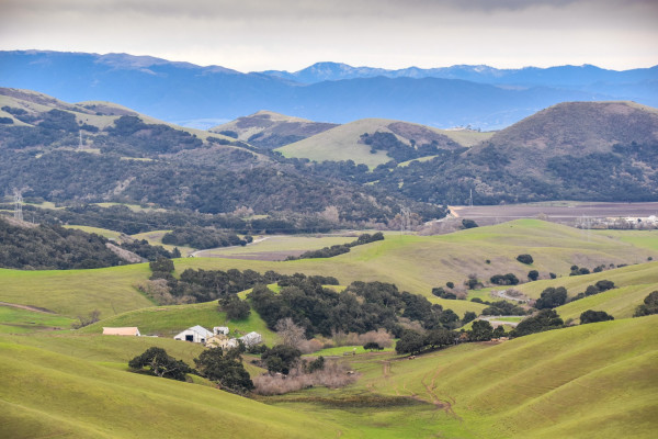 Salinas