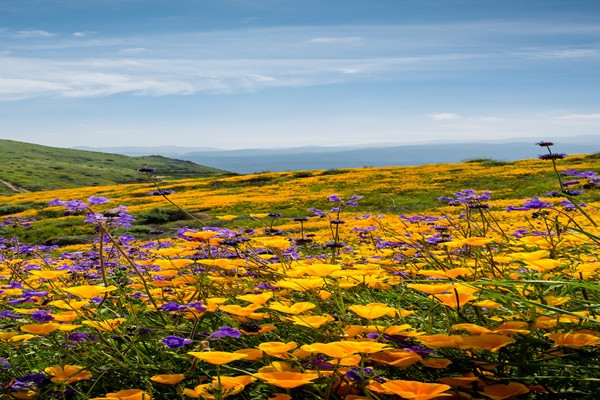 Spring Valley