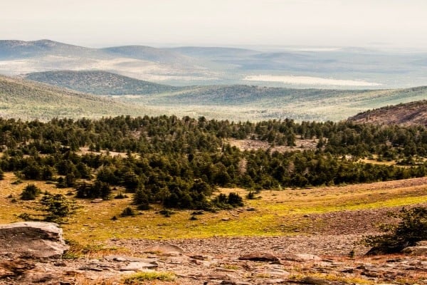 Flagstaff