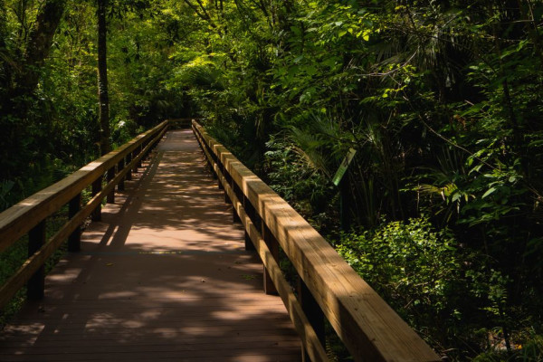 Longwood