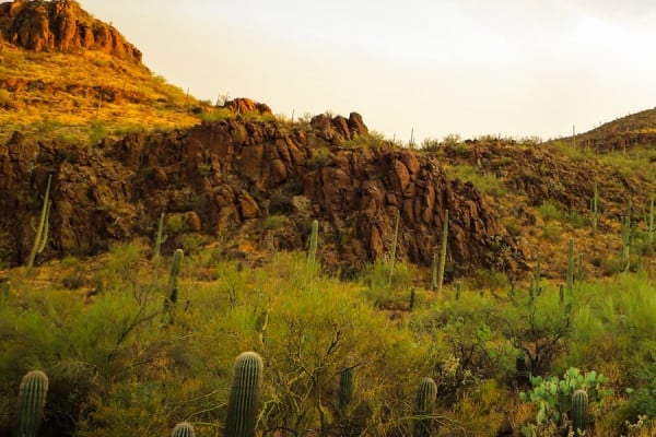 Tucson