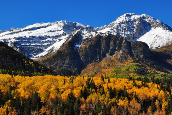 Sundance