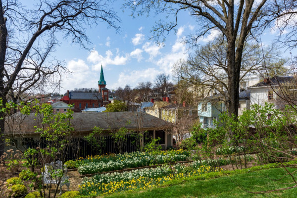 Staunton