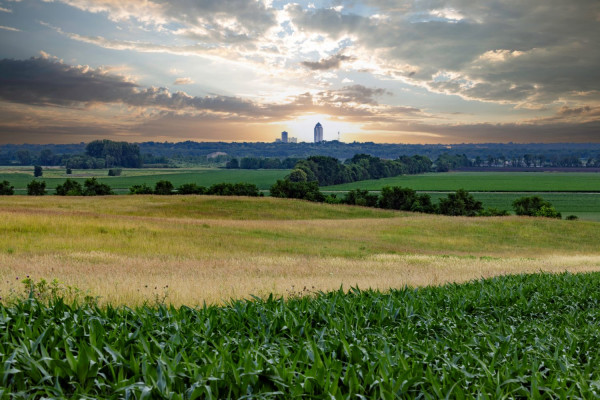 Wapello