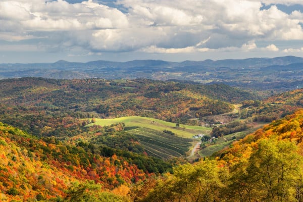 Virginia