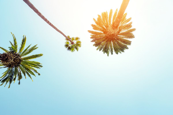 Palmdale