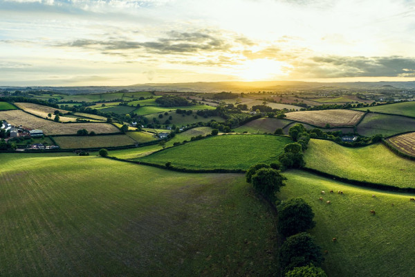 Devon
