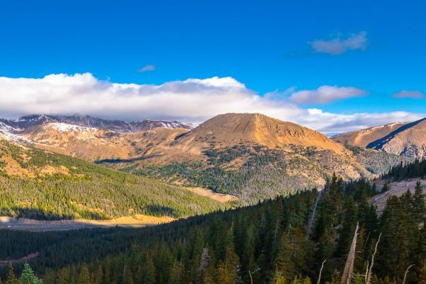 Loveland