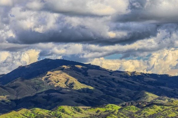 Concord