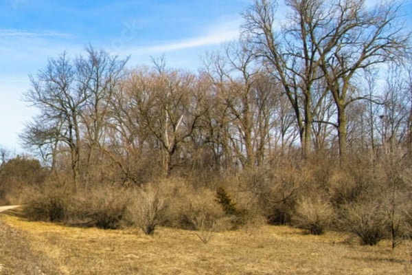 Prairie du Sac