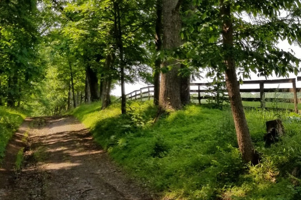 Donegal