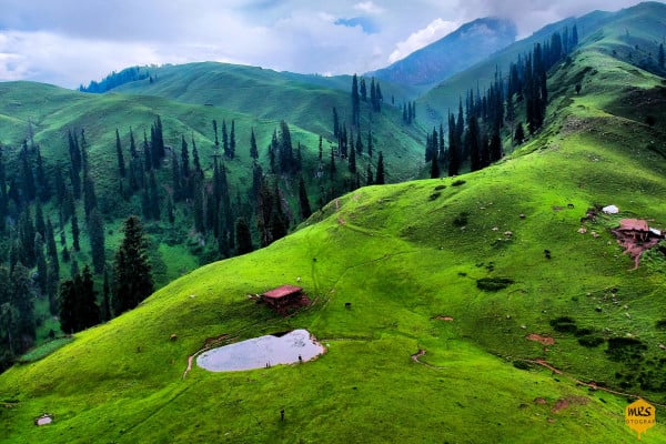 Pakistan