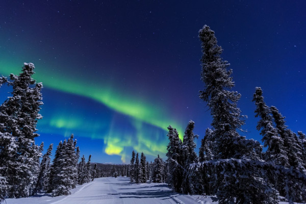 Fairbanks