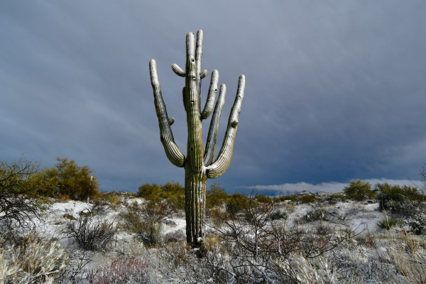 Cave Creek