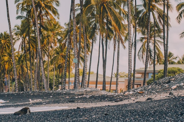 Kona