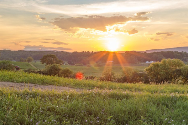 Huntingdon Valley