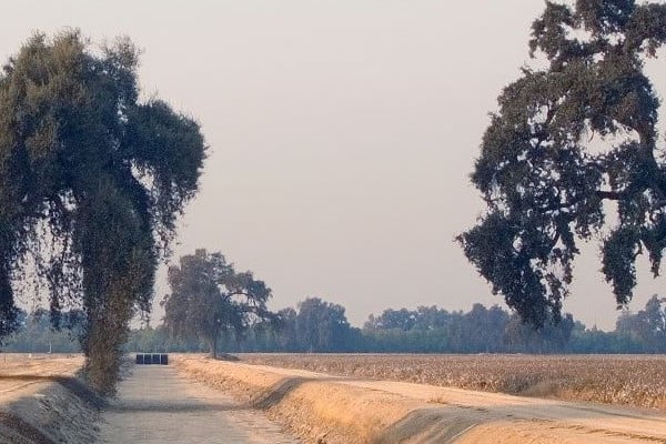 Visalia