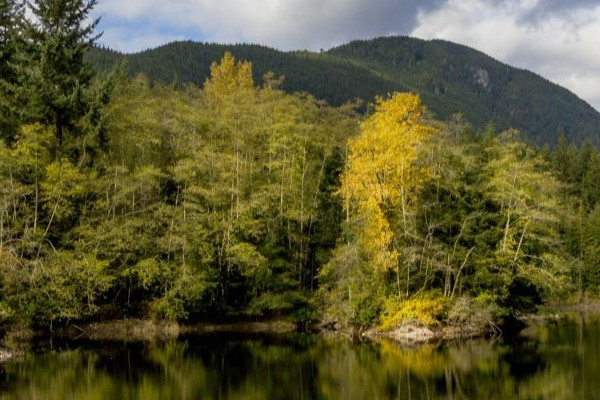 Gores Landing
