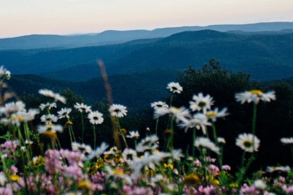 West Virginia