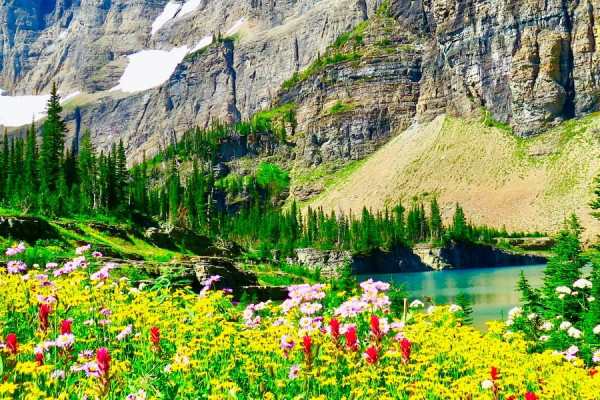 Montana