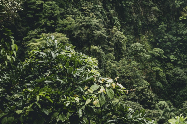 Costa Rica