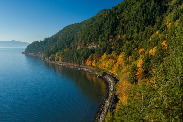 Bellingham 