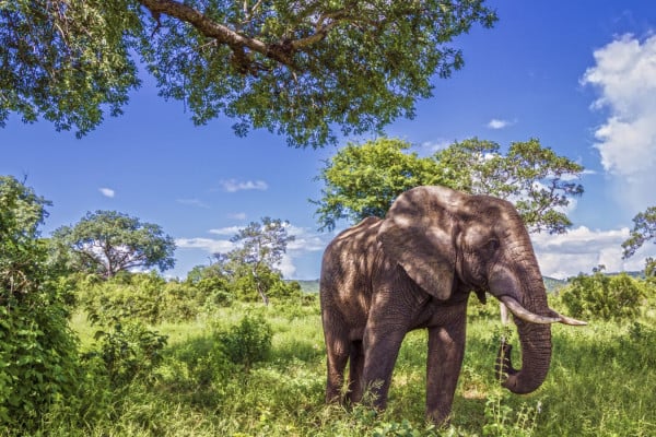 Mpumalanga
