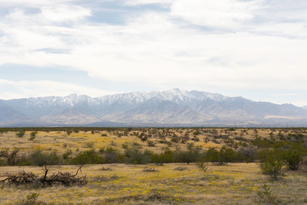 Safford